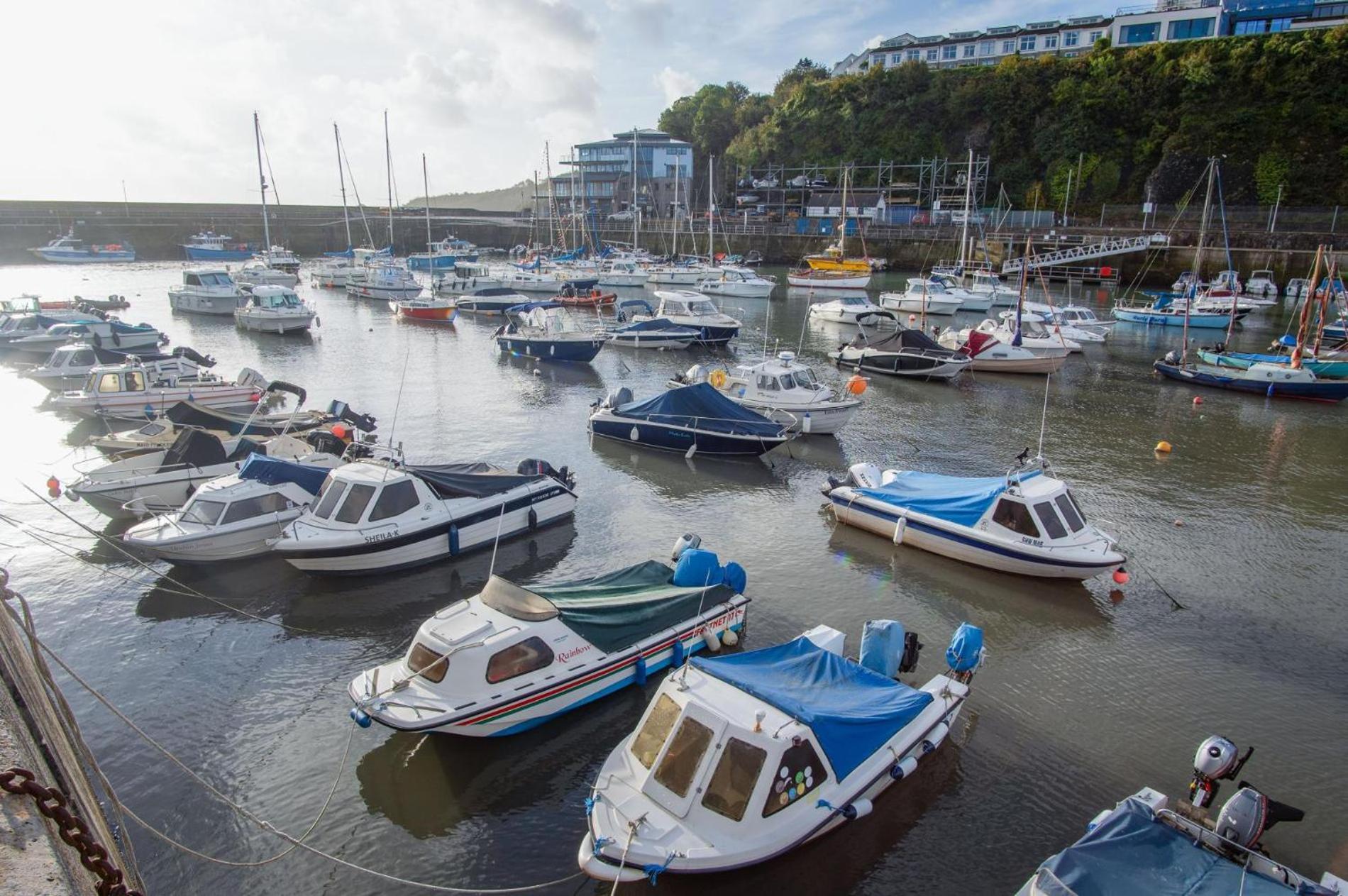 Ocean Cabins No 3 At The Square - Saundersfoot Rom bilde