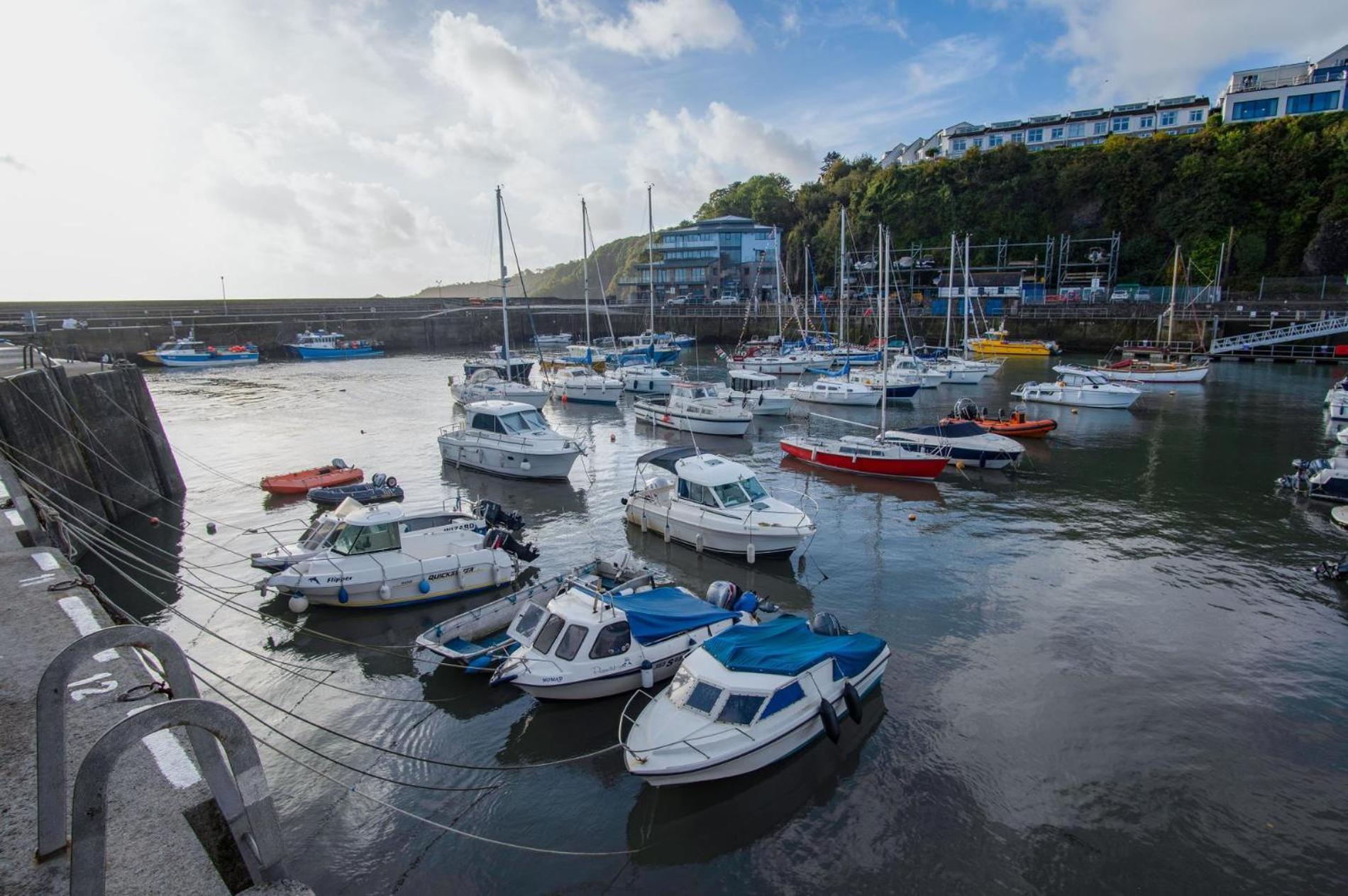 Ocean Cabins No 3 At The Square - Saundersfoot Rom bilde