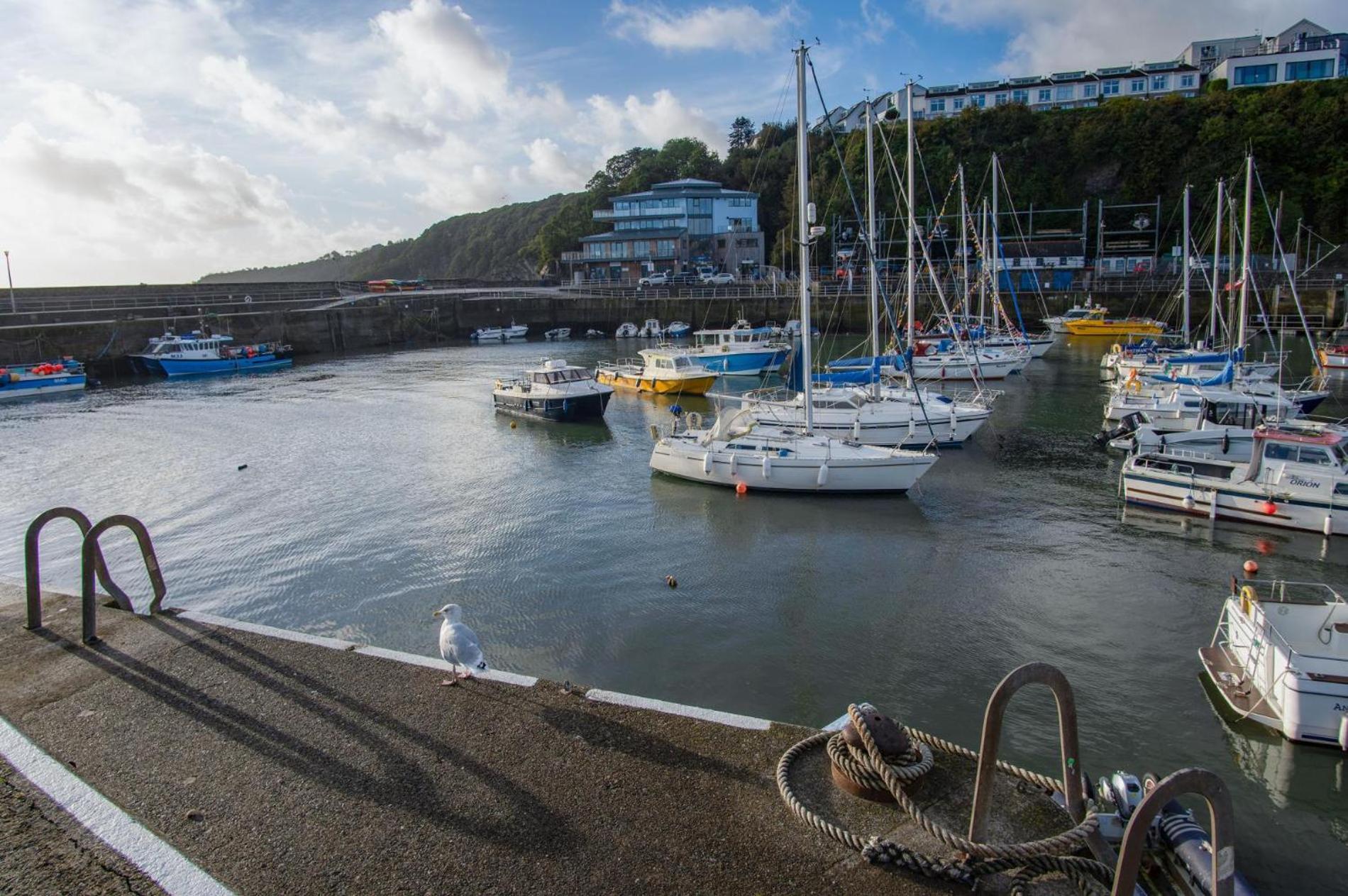 Ocean Cabins No 3 At The Square - Saundersfoot Rom bilde